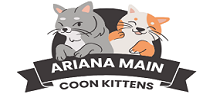 Ariana Main Coon Kittens
